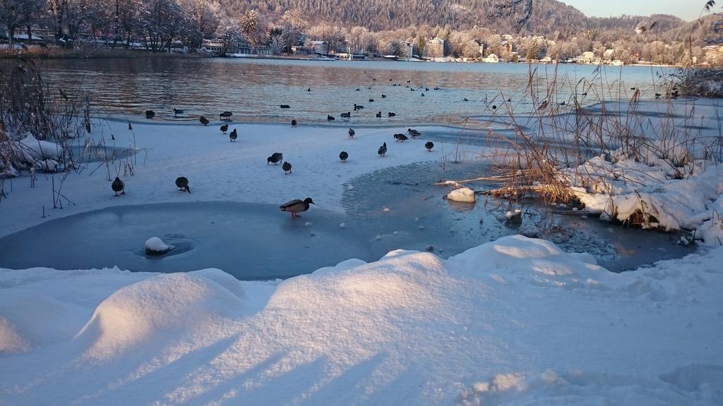 古托尼克度假乐土酒店 Pörtschach am Wörthersee 外观 照片
